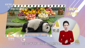 成年人性网站